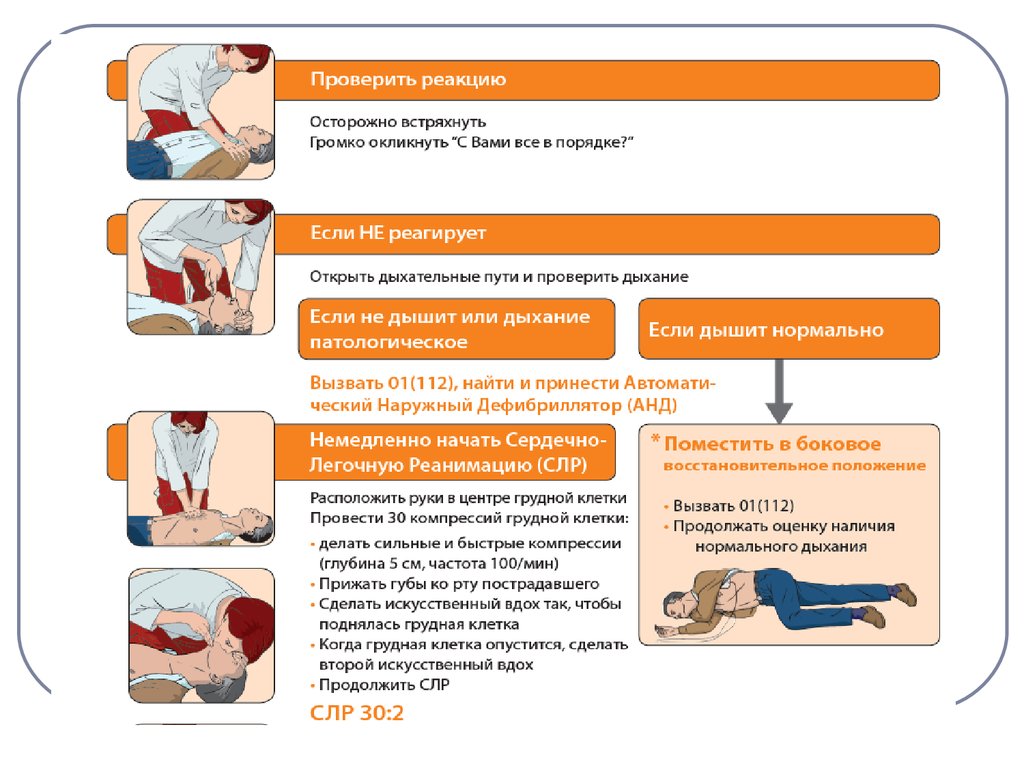 С чего следует начинать сердечно легочную реанимацию. Базовая СЛР новорожденного. Проверка дыхания у пострадавшего. Глубина компрессий при СЛР. Глубина компрессий грудной клетки при СЛР.