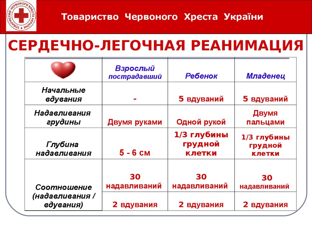 Слр новорожденных презентация