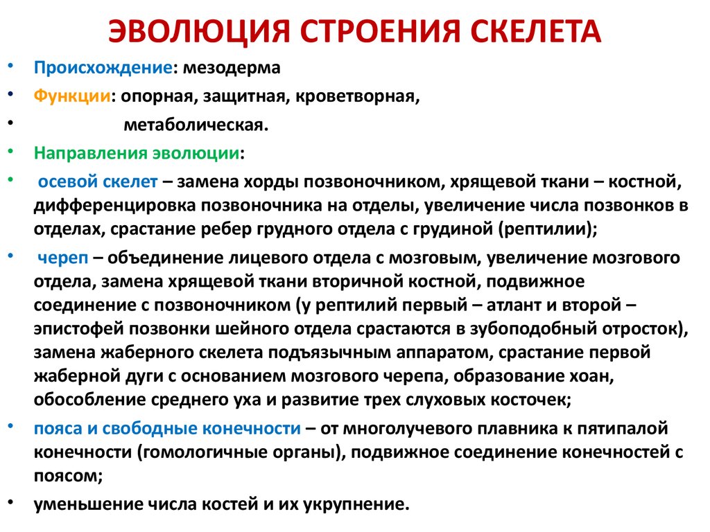 Объясните эволюционное преимущество полового. Эволюция строения скелета. Происхождение и развитие скелета позвоночных животных. Эволюция скелета животных таблица. Основные направления эволюции скелета.