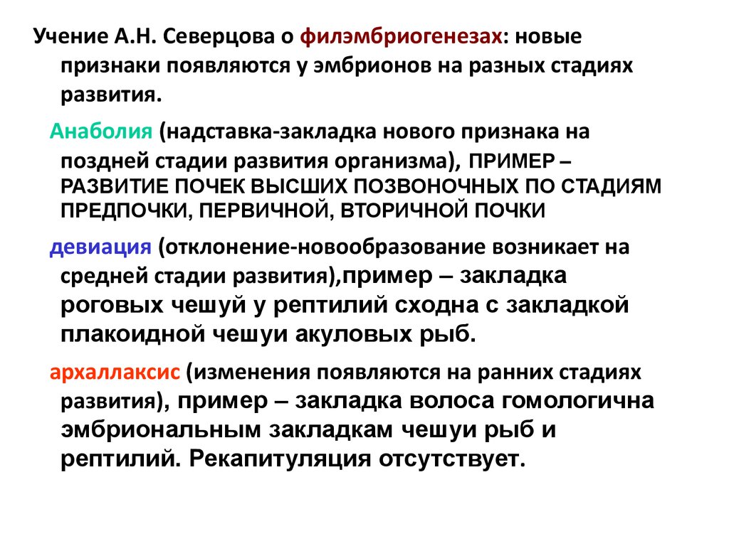 Закон о учение. Теория филэмбриогенеза Северцова. Концепция филэмбриогенеза. Теория филэмбриогенезов а.н. Северцова.. Теория Академика Северцова о филэмбриогенезах.