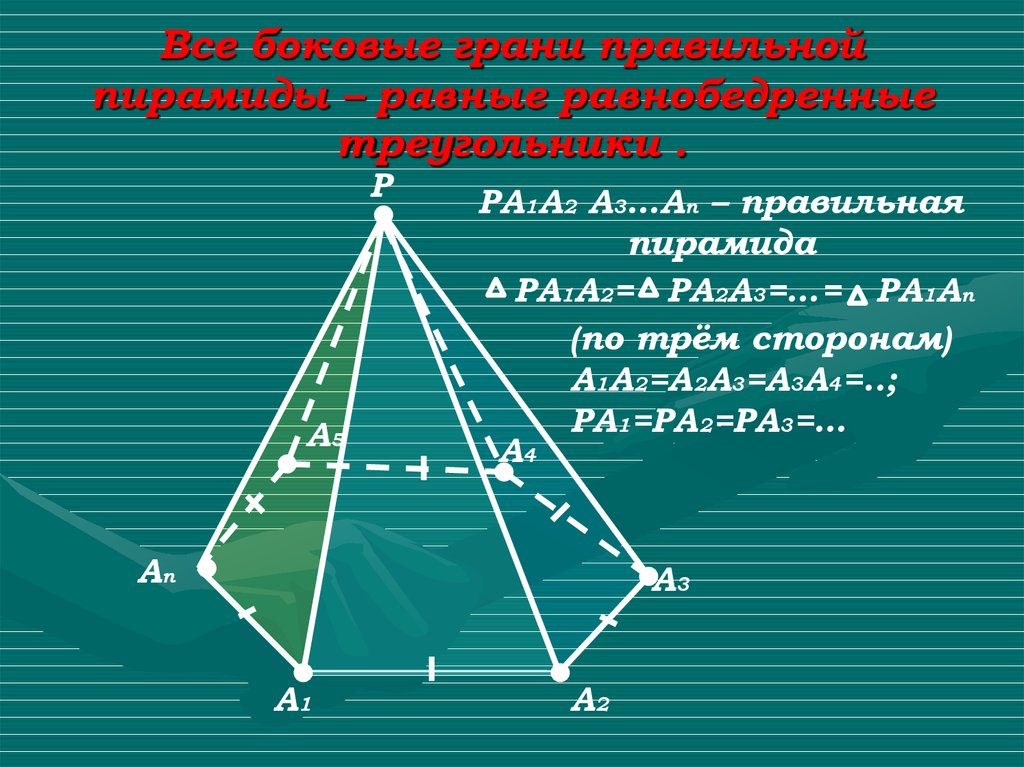 Все боковые грани правильной пирамиды – равные равнобедренные треугольники .