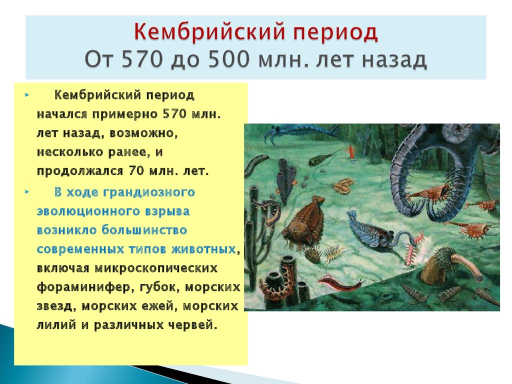 Около 300 млн лет назад какой период. Земля 500 миллионов лет назад. 500 Млн лет назад. Кембрий миллионов лет назад. Кембрийского периода, примерно 500 млн лет назад.