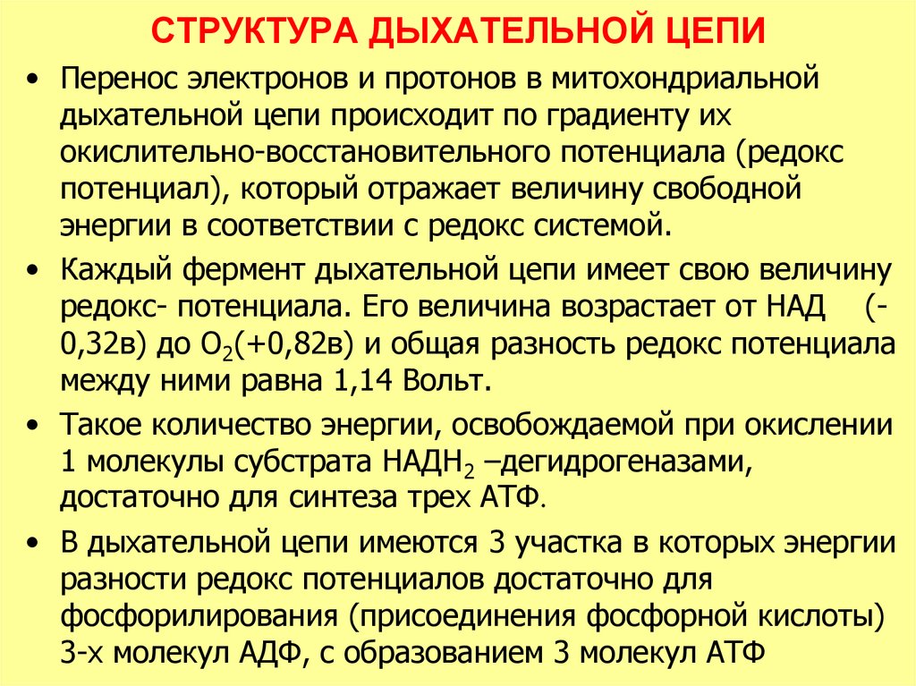 Дыхательная цепь. Функции дыхательной цепи биохимия. Структурная организация митохондриальной дыхательной цепи. Структура дыхательной цепи митохондрий. Структура дыхательной цепи биохимия.