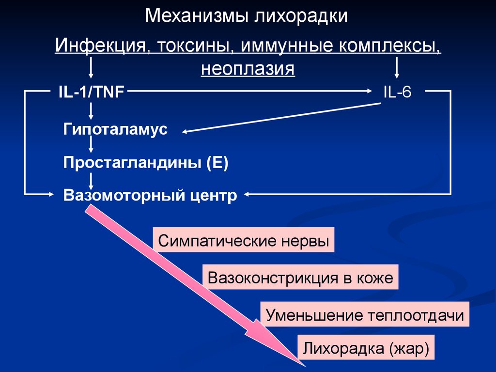 Презентация патология терморегуляции лихорадка