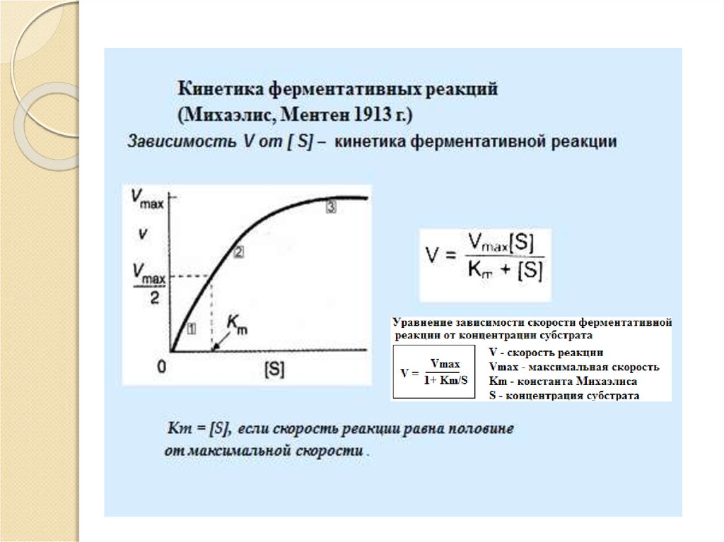 Презентация кинетика ферментативных реакций