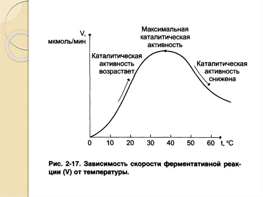 График активности