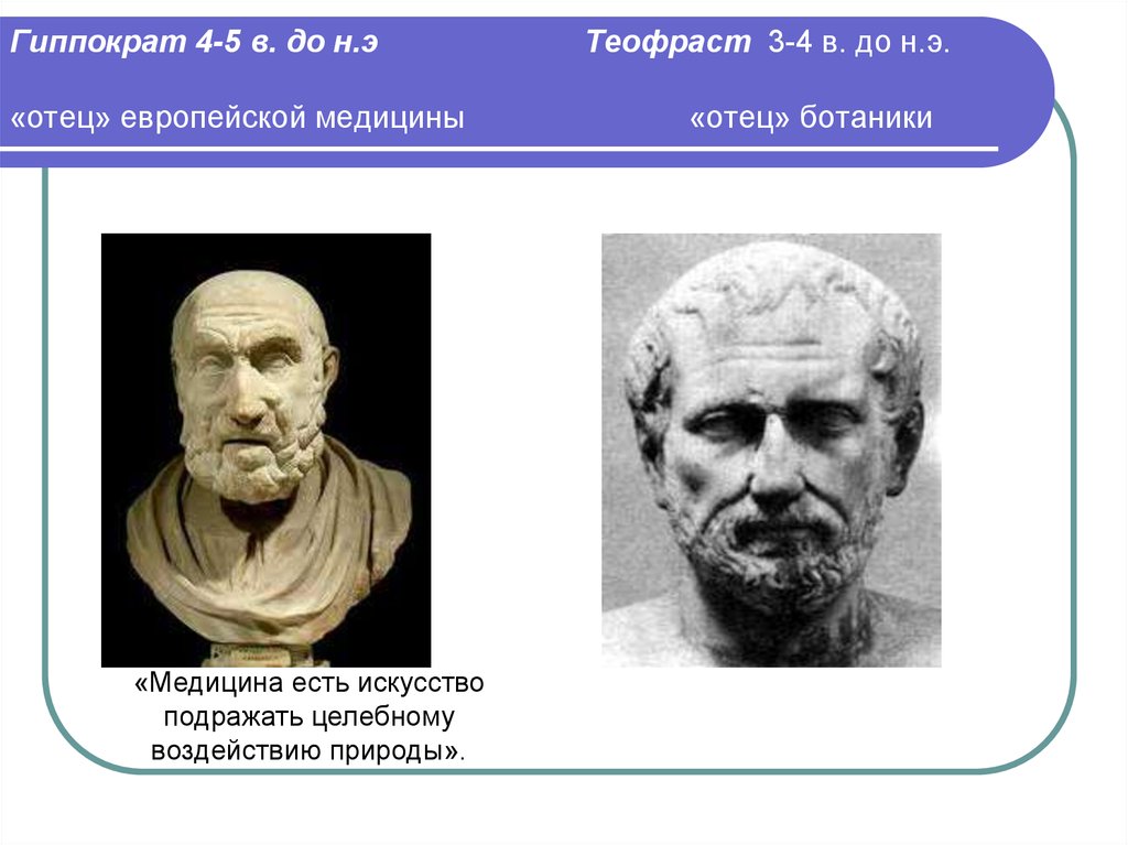 Гиппократ 4-5 в. до н.э Теофраст 3-4 в. до н.э. «отец» европейской медицины «отец» ботаники