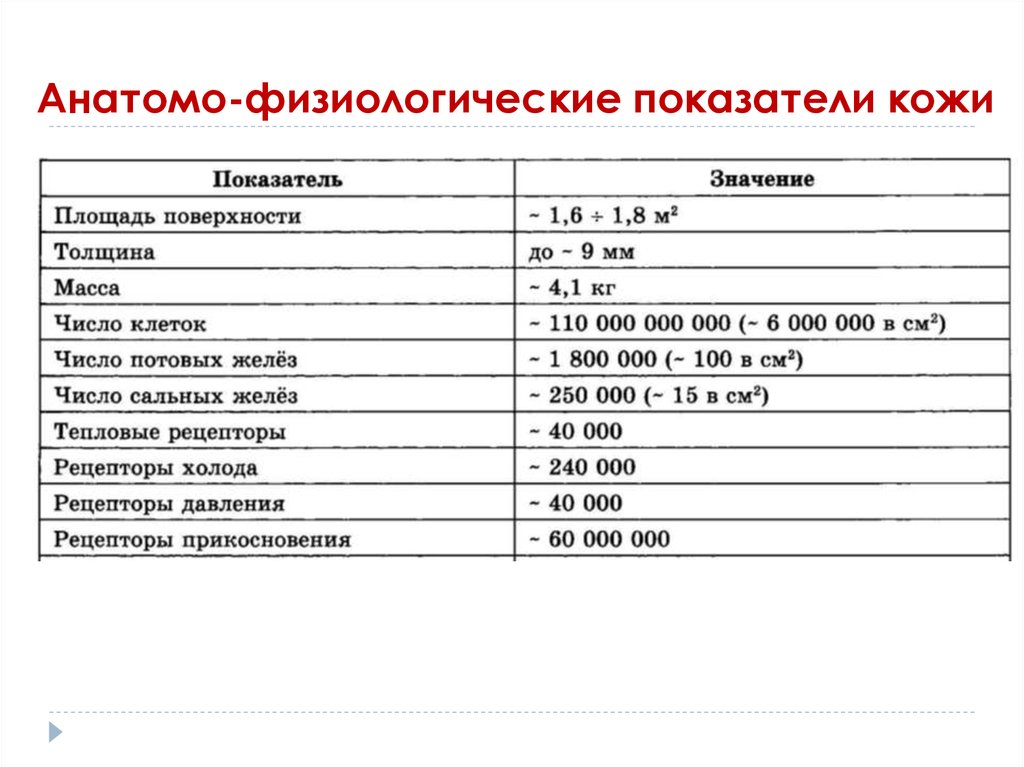 Основные показатели человека. Физиологические показатели. Физиологические показатели человека. Антрофизиологические показатели. Физиологические показатели человека таблица.