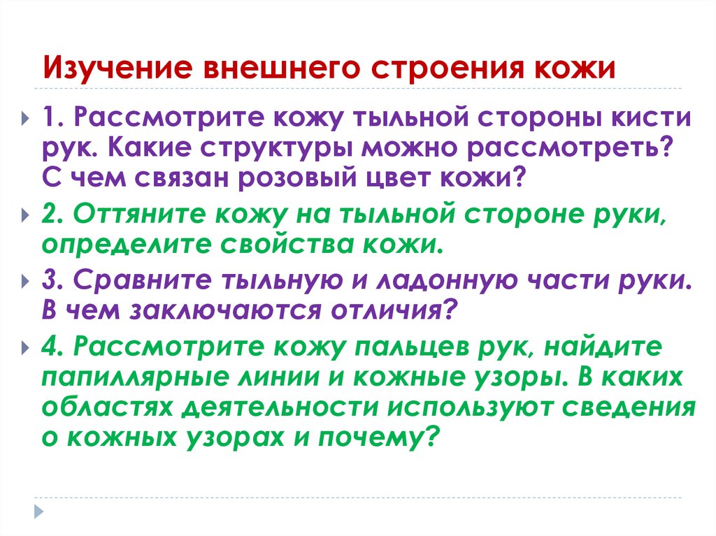 Изучение внешнего. Свойства кожи. Рассмотрите кожу кисти руки с двух сторон 4 класс. Какими словами можно описать кожу. Сравнить кожу на сторонах кисти.