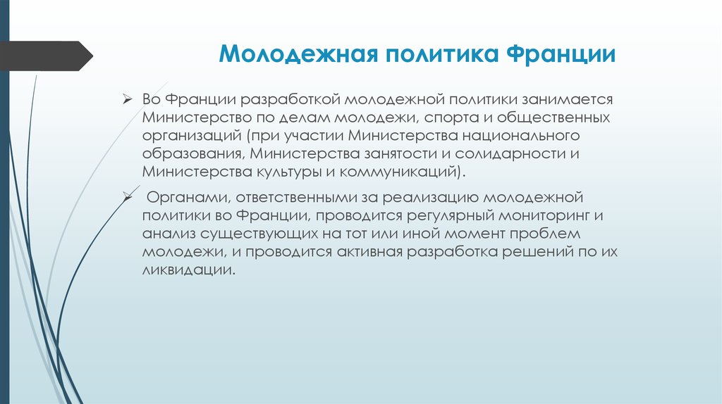 Проблемы франции. Молодежная политика во Франции. Общественные организации Франции. Проблемы молодежной политики. Министерство по делам молодежи во Франции.