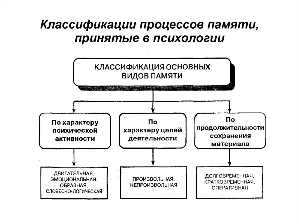 Какой вид памяти преобладает в дошкольном возрасте. Классификация процессов памяти. Основные процессы памяти схема. Классификация памяти по продолжительности сохранения материала. Классификация видов памяти.