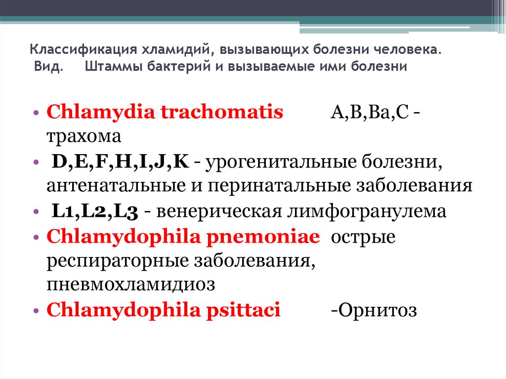 Anti chlamydia trachomatis. Хламидия трахоматис классификация. Классификация хламидий. Систематика хламидий. Хламидиоз классификация.