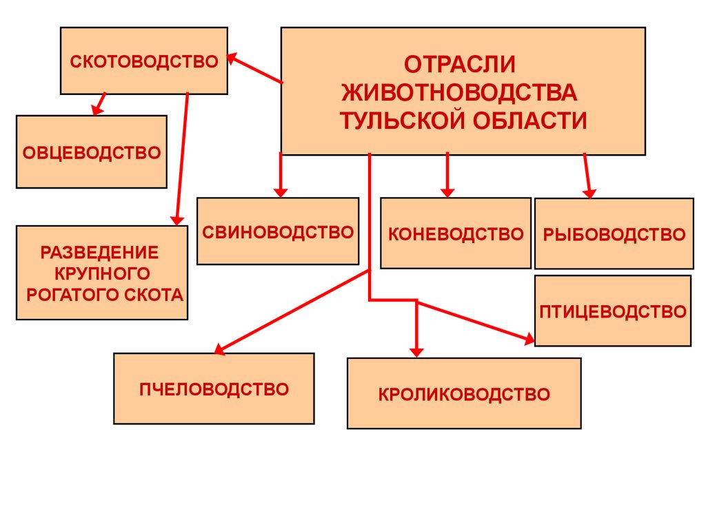 Животноводство Тульской области - презентация онлайн