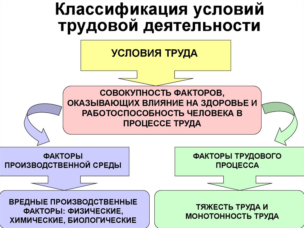 Презентация виды трудовой деятельности