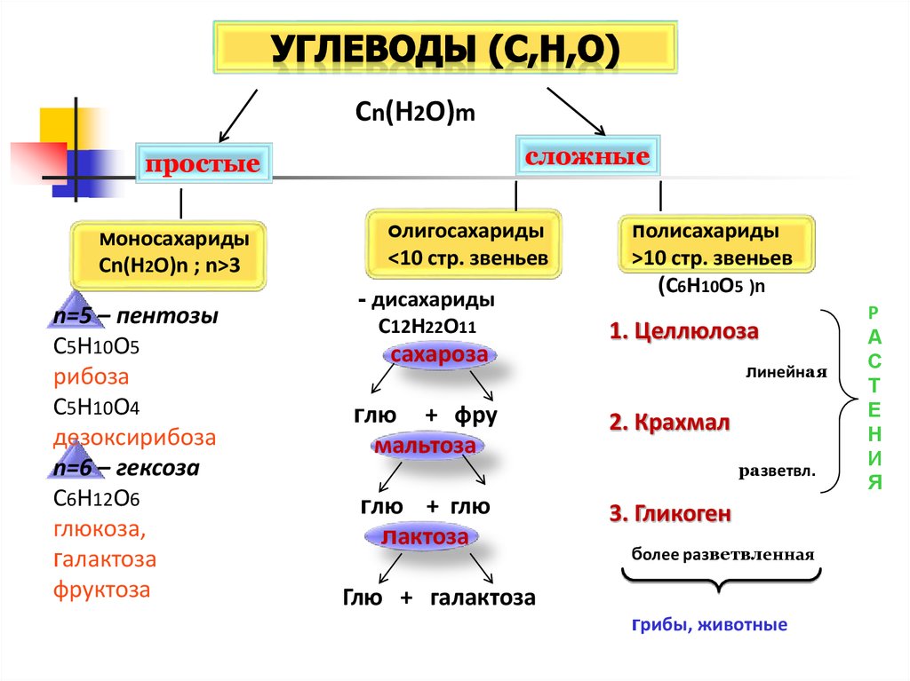 Рис простой углевод