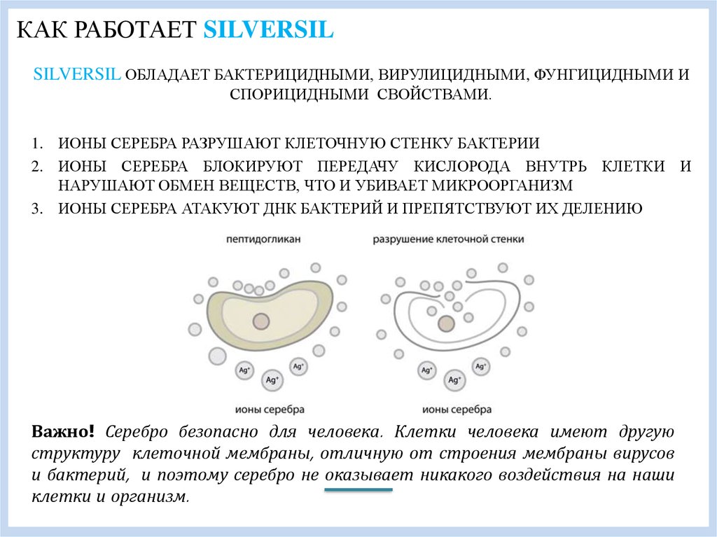 Ионы серебра. Как работают ионы серебра. Ионы серебра в организме человека. Ион серебра и бактерии. Серебро обладает бактерицидными свойствами.