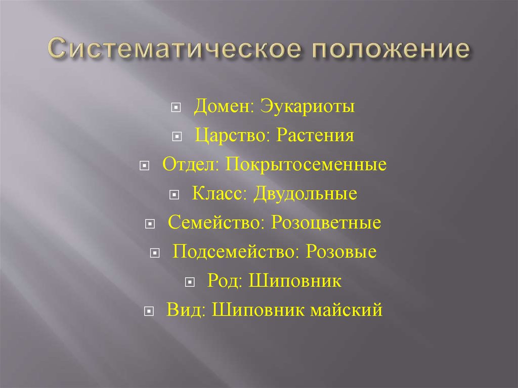 Систематическая компонента. Систематическое положение. Систематическое расположение. Систематическое положение покрытосеменных.