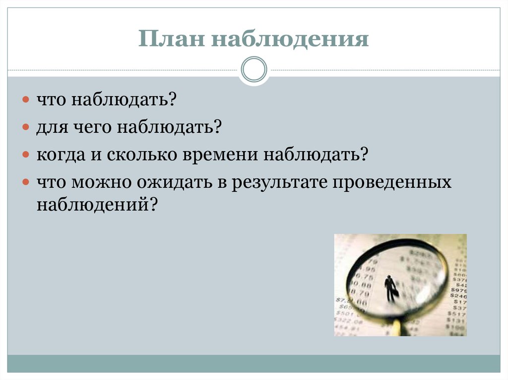 Проведите наблюдение. План наблюдения. Составить план наблюдения. План наблюдения за рыбами. Наблюдение по плану.