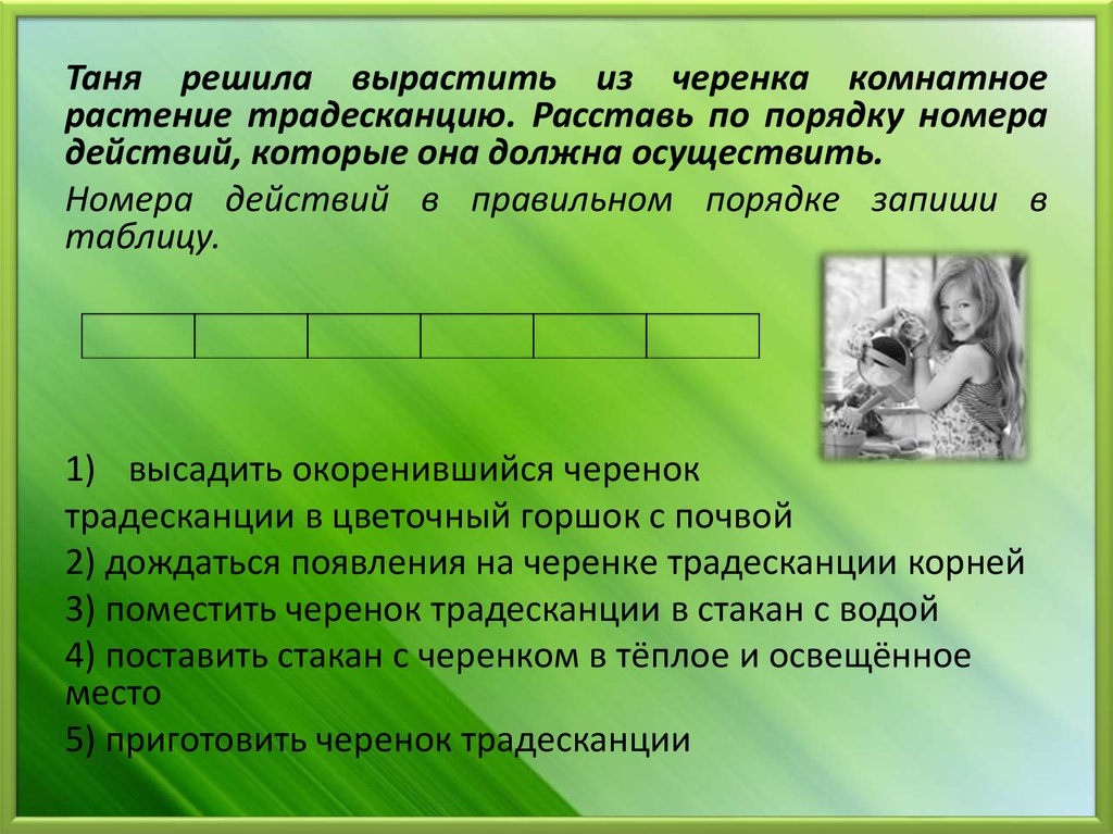 Надо осуществить. Расставьте по порядку. Таня решила вырастить из черенка комнатное растение. Расставьте по порядку действия, которые должен осуществить. Варя решила вырастить комнатное растение пеларгония из стеблевого.