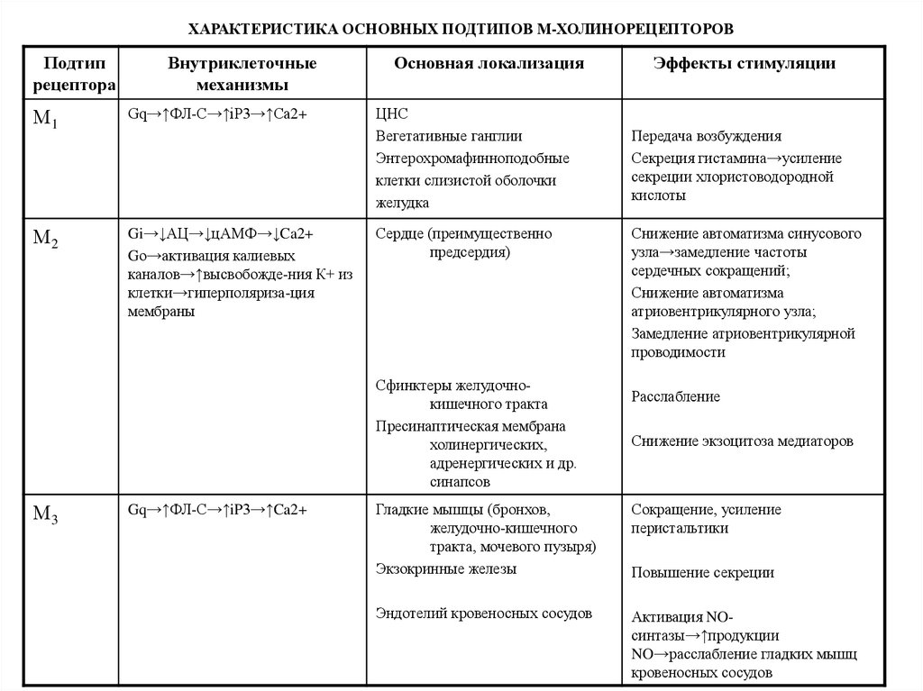 М холинорецепторы. Локализация м и н холинорецепторов таблица. Локализация м1 холинорецепторов. Локализация м2 и м3 холинорецепторов. Локализация м1 м2 м3 холинорецепторов.