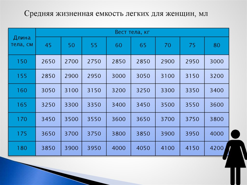 Жизненная емкость легких спортсменов