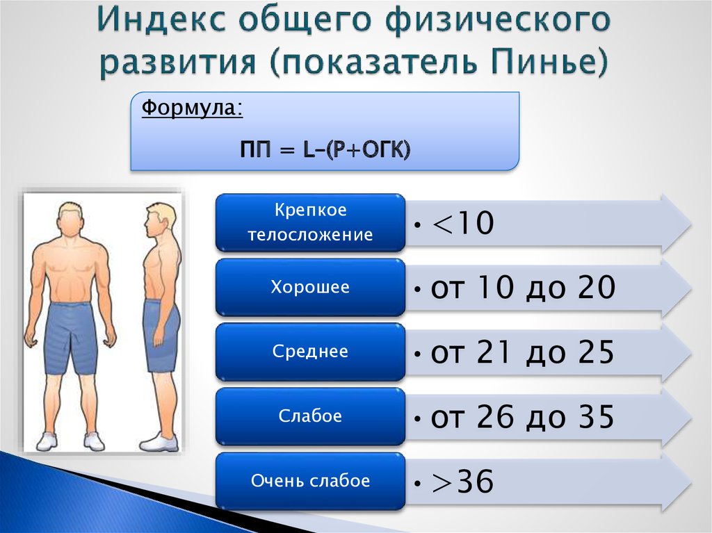 Уровни физического развития человека. Показатель крепости телосложения (Пинье). Показатель крепости телосложения индекс Пинье. Показатели крепости телоснабжения по Пинье. Индекс общего физического развития или показатель Пинье.