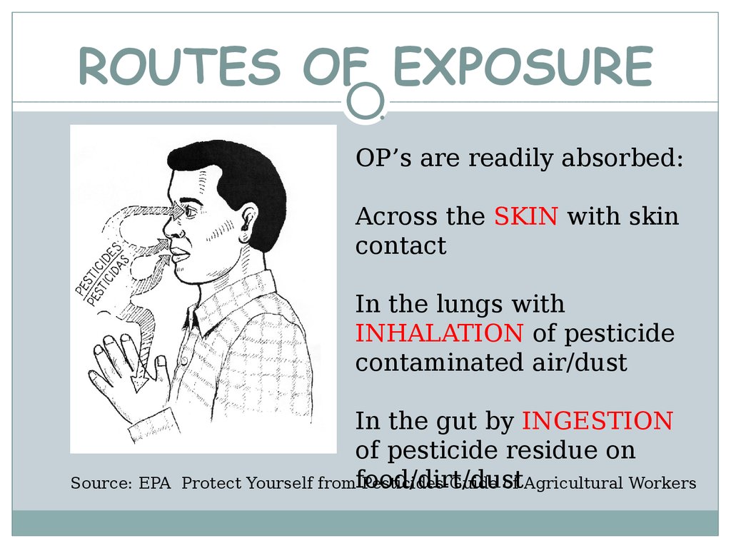 ROUTES OF EXPOSURE