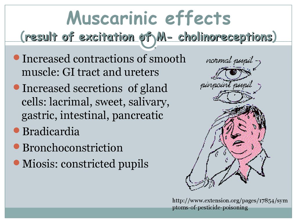 Muscarinic effects (result of excitation of M- cholinoreceptions)