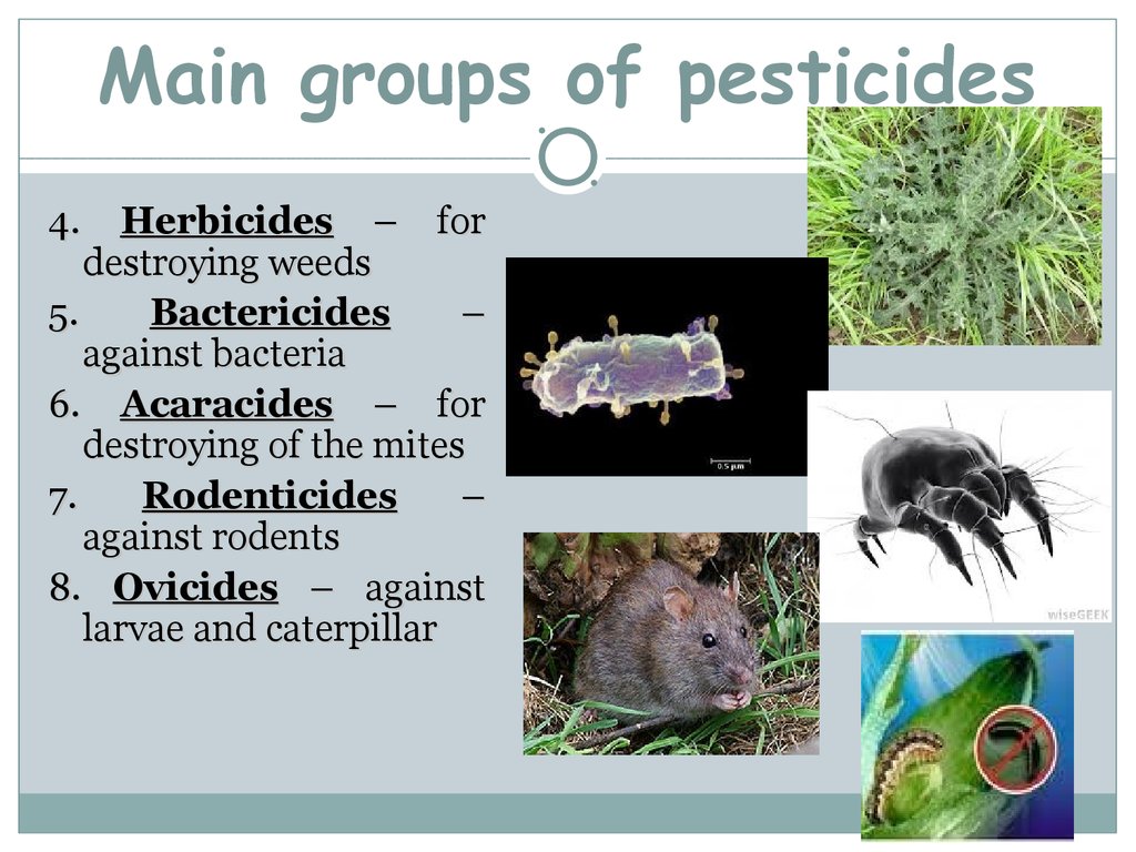 Main groups of pesticides