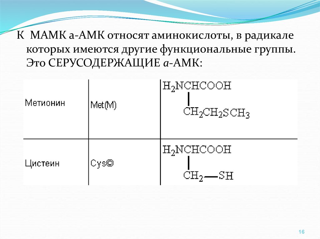 Метионин какая аминокислота. Аминокислоты по дополнительным функциональным группам. Название функциональных групп радикалов аминокислот таблица. Метионин функциональная группа. Классификация аминокислот по дополнительным функциональным группам.