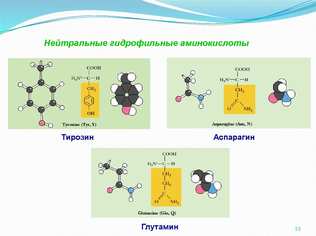 Химические элементы аминокислот. 20 Аминокислот гидрофобные и гидрофильные. Гидрофильные и гидрофобные радикалы аминокислот. Неполярные незаряженные аминокислоты. Алифатические гидрофильные аминокислоты.