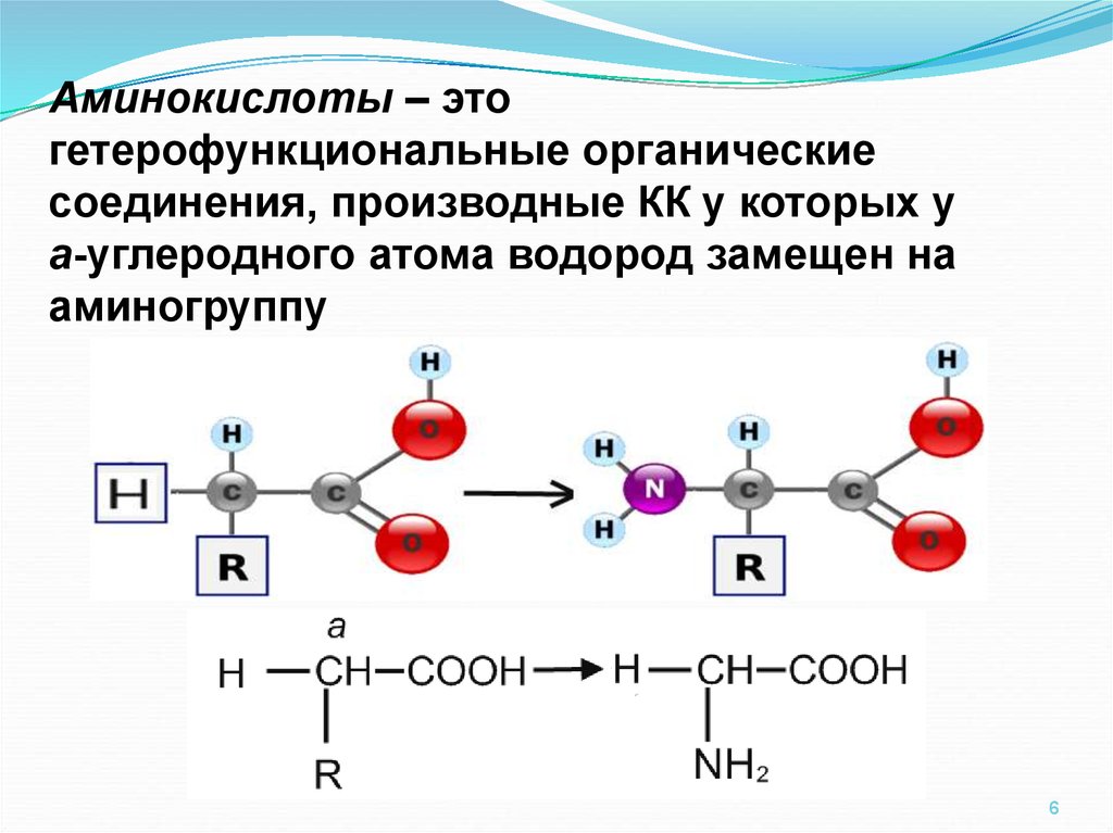 Аминокислотные молекулы. Строение основных аминокислот. Общая структура аминокислот. Соединение трех аминокислот. Аминокислоты основные соединения.