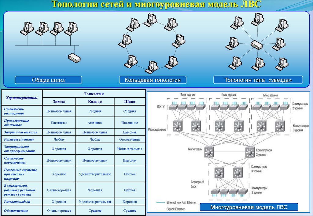 Общая сеть. Топология локальных сетей таблица. Характеристика локальной сети. ЛВС шина кольцо звезда дерево. Таблица оборудование локальных компьютерных сетей.