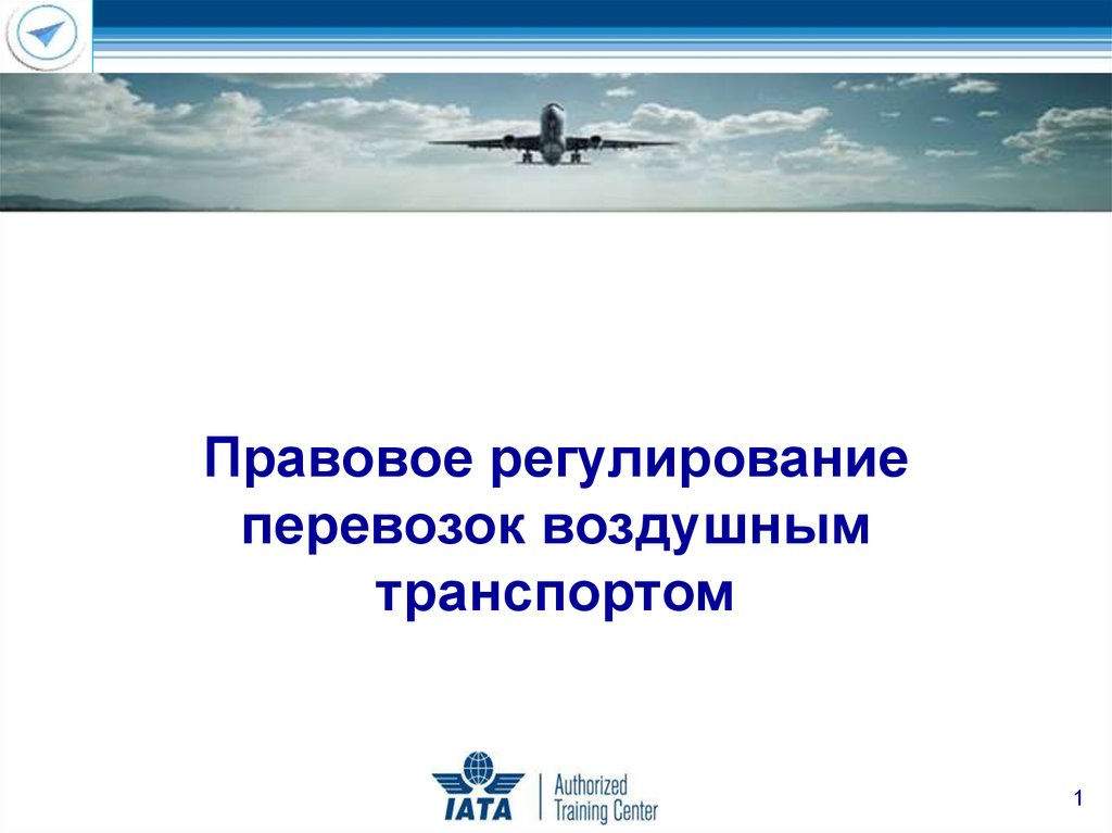 Контрольная работа по теме Государственное регулирование деятельности воздушного транспорта