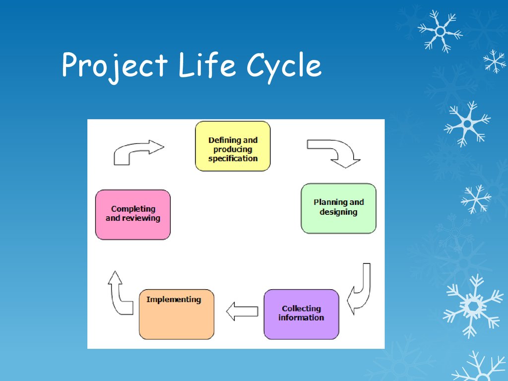 Project Life Cycle Chart
