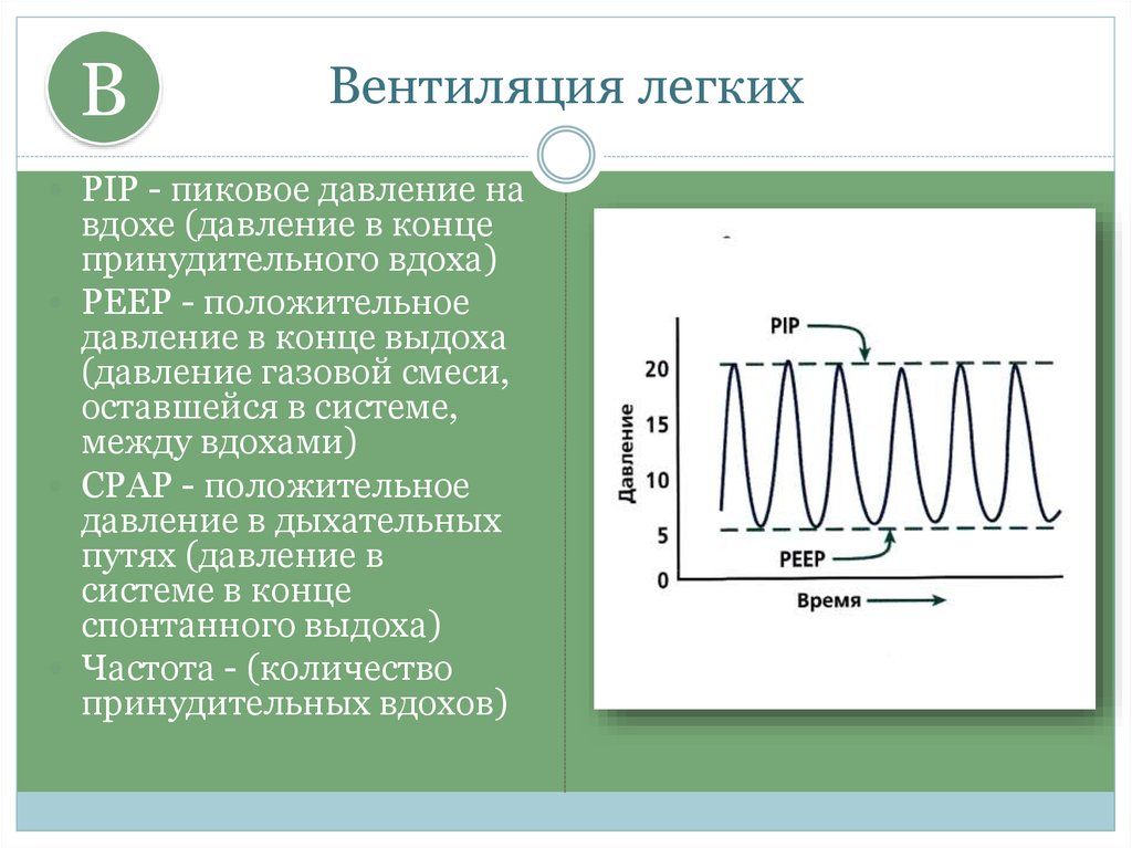 Давление в легких. Пиковое давление ИВЛ. Пиковое давление вдоха норма. Пиковое давление при вдохе. Давление в дыхательных путях в конце выдоха.