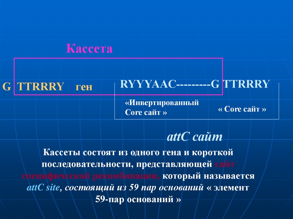 Короткий гена. Генные кассеты. Кассеты генов это. Интегроны. Мобильная генная кассета.