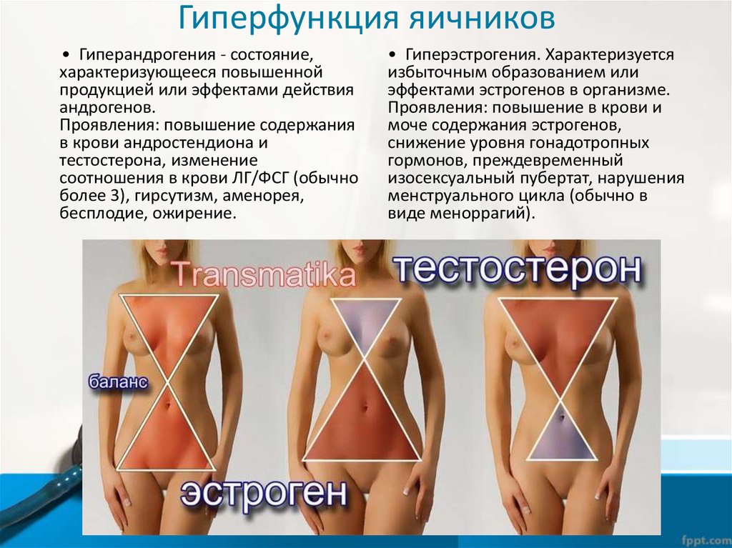 Анатомия женщины (строение женских половых органов) – полезные материалы венки-на-заказ.рф