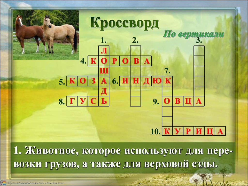 Кроссворд звери. Кроссворд про домашних животных. Кроссворд с домашними животными. Кроссворд про домашних питомцев. Кроссворд на тему домашние животные.