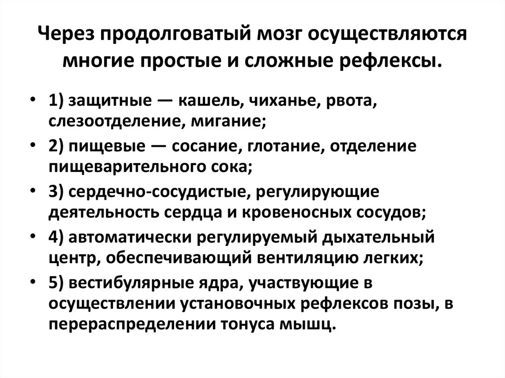 Сосудистый центр продолговатого мозга