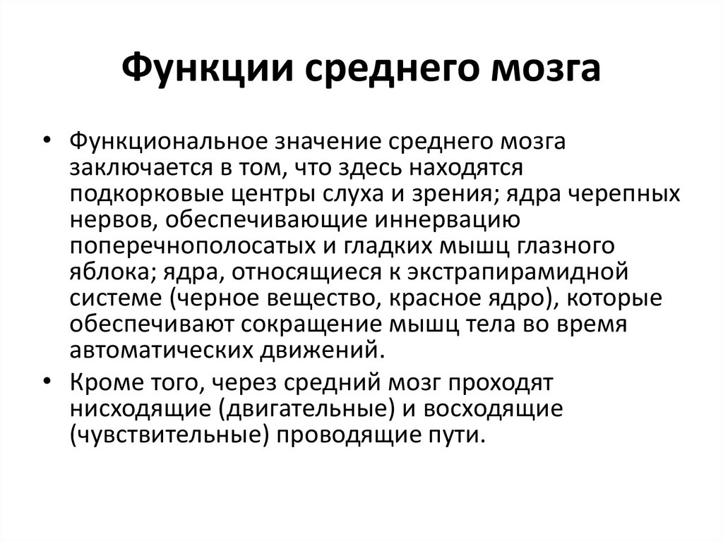 Функции мозга. Какова функция среднего мозга. Средний мозг функции кратко. Проводниковая функция среднего мозга. Перечислите функции среднего мозга.