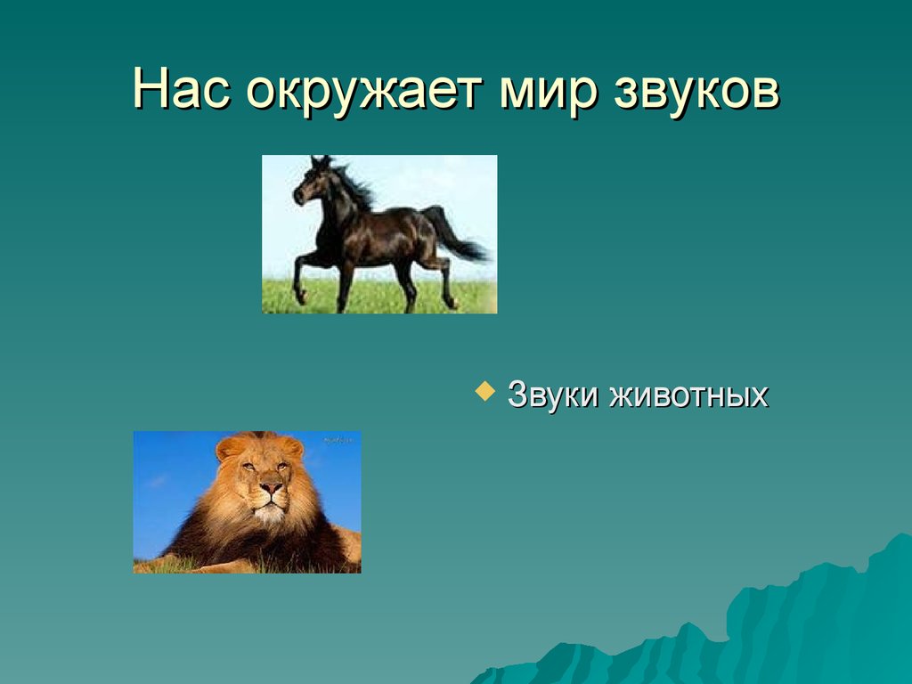 Значение звука. Звуки в животном мире. Звуки окружающий мир. Звуки животных физика. Звуки окружающей среды.