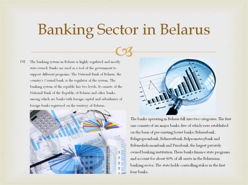 Banking Sector in Belarus