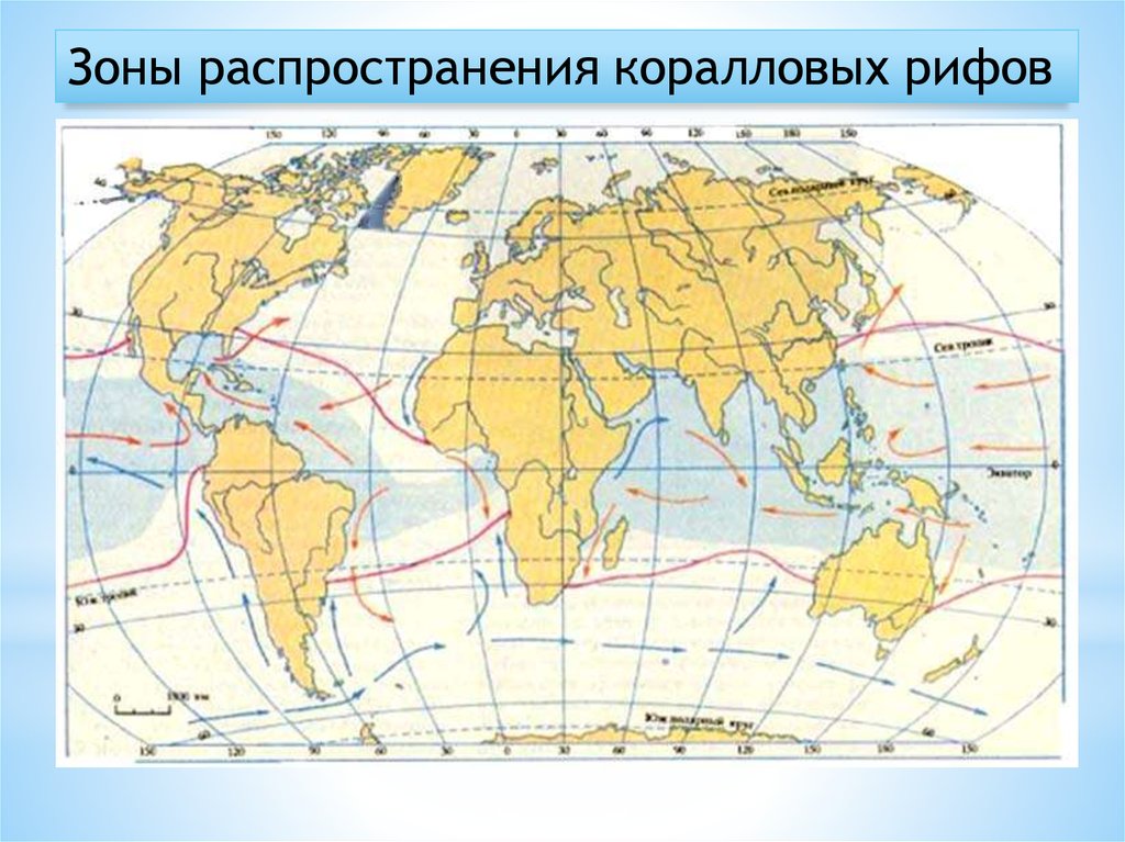 Карта распространения коралловых рифов