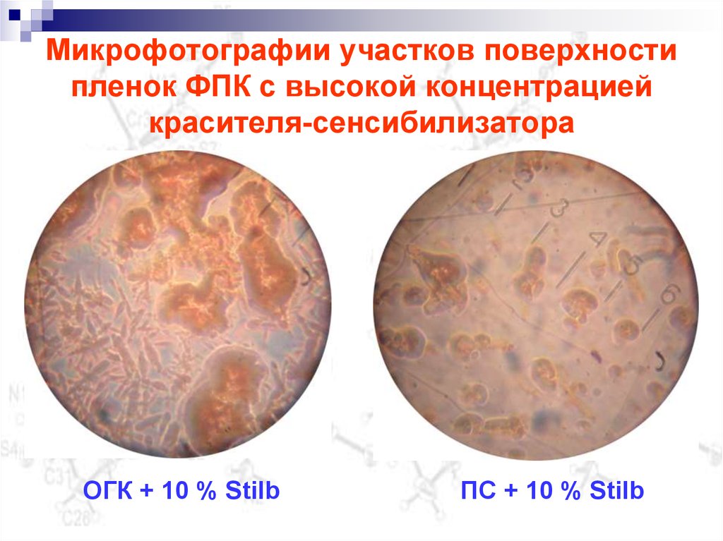Микрофотографии участков поверхности пленок ФПК с высокой концентрацией красителя-сенсибилизатора