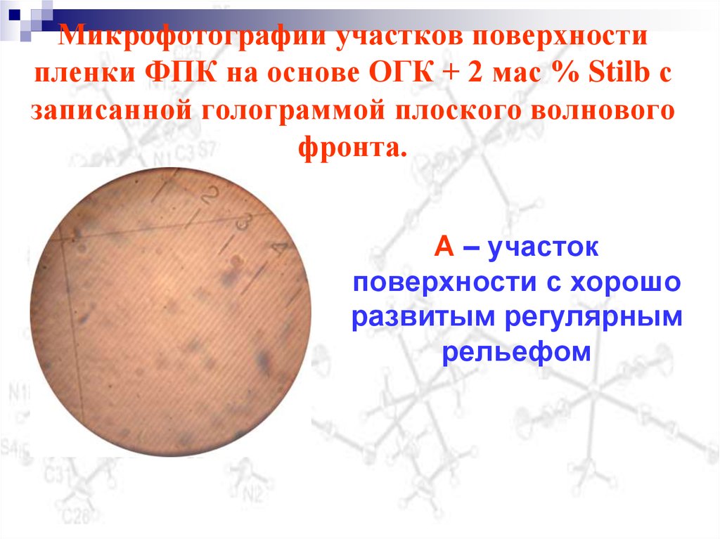 Микрофотографии участков поверхности пленки ФПК на основе ОГК + 2 мас % Stilb с записанной голограммой плоского волнового фронта.