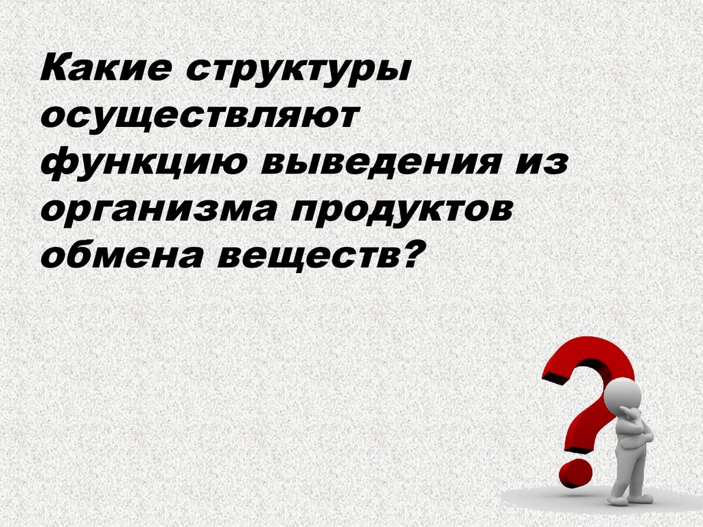 Осуществить путем. Выведение из организма продуктов обмена. Вывод продуктов метаболизма из организма. Роль кожи в выведении из организма продуктов обмена веществ. Какие продукты обмена выводится из организма легкими.