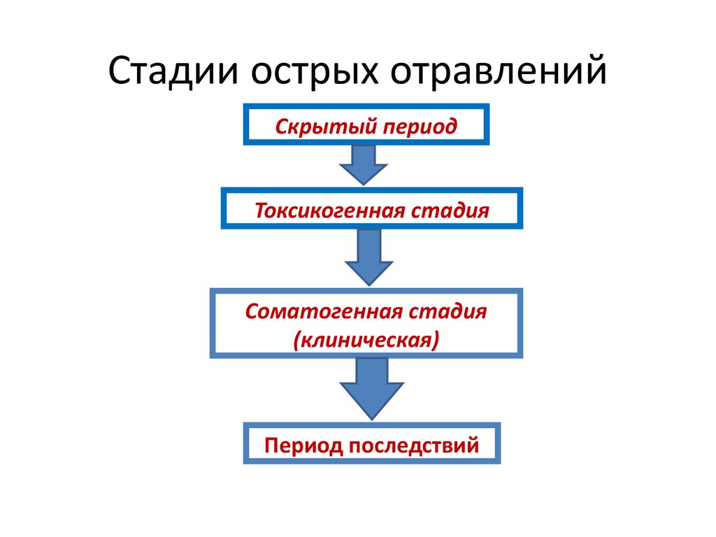 Лекция по теме Токсикокинетика и токсикодинамика отравления животных