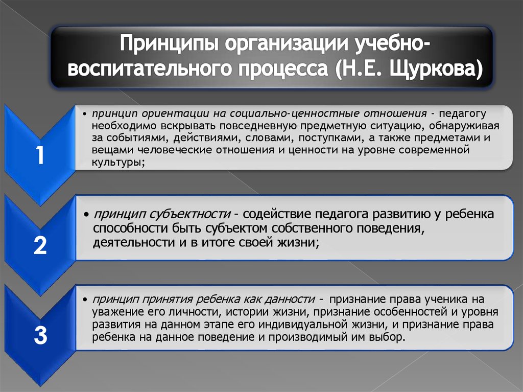 Принципы ориентации. Принципы организации учебно воспитательного процесса. Принцип ориентации на ценностные отношения. Принципы воспитания Щуркова. Ориентация на ценности и ценностные отношения, принцип целостности.