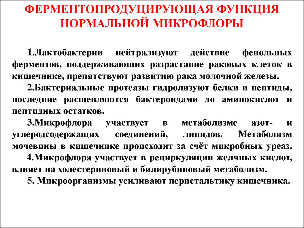 Возможность нормальный. Функции микрофлоры организма человека. Функции нормальной микрофлоры организма человека. Функции нормальной микрофлоры человека. Функции нормальной микрофлоры.